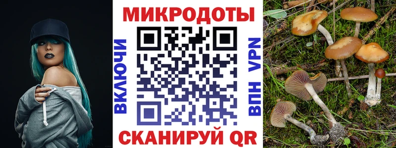 Галлюциногенные грибы ЛСД  где можно купить   Закаменск 
